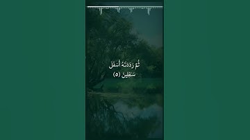﴿سورة التين﴾ بصوت الشيخ خالد حسن عبد الكافي _راحه نفسية❤️