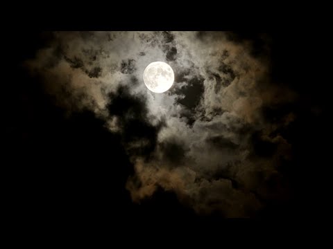 Sabr Alptekin - Nächtliche Gedanken