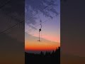 #electronicmusic #blackforest #schwarzwald #blackforest #nature #mountains #sunset #weekend #night