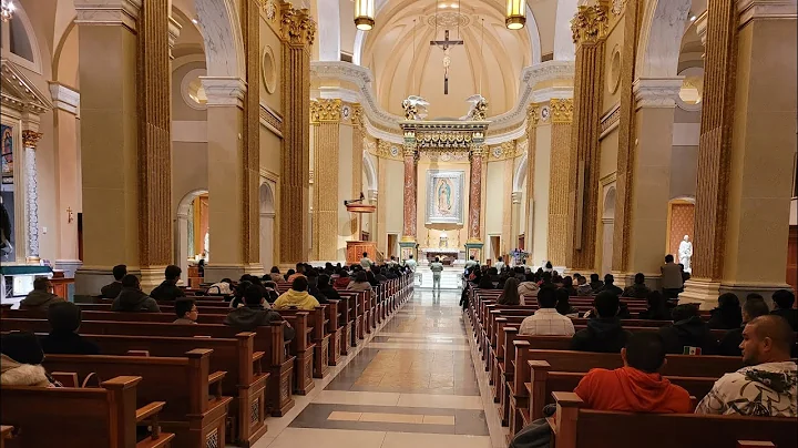Cardinal Burke, bilingual mass to celebrate   Virg...