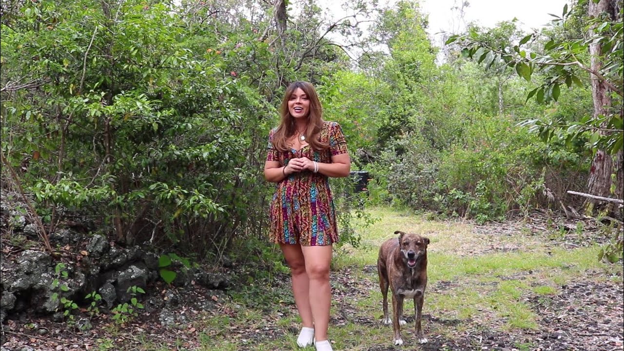 EPA 26% Biomass Energy Tax Credit Explanation – Qualified Products