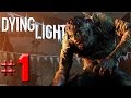 Dying Light Türkçe Co op  #1 - OHA!!! Dev Zombi