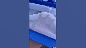 Fish pond and swimming pool leaf skimmer