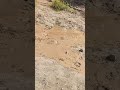 #drillingengineering #borewell_drilling #borewell #borepile #viralvideo