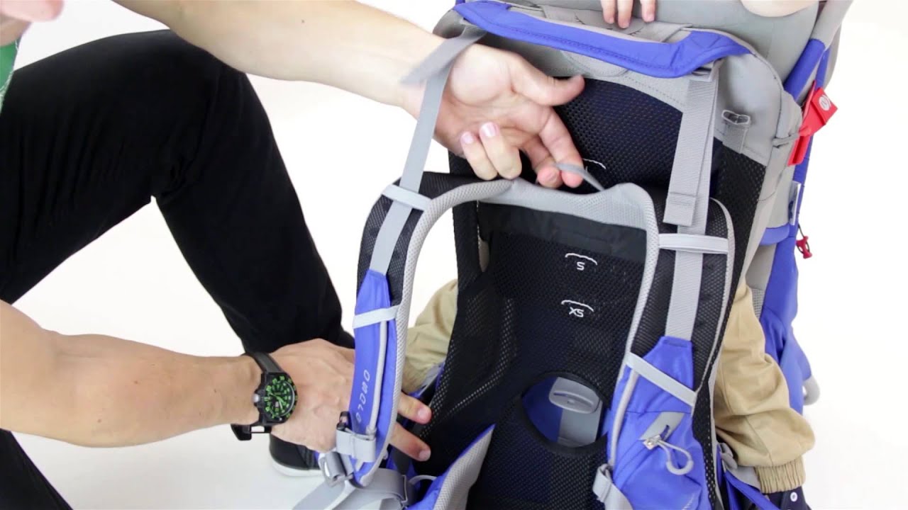 Poco Premium - Easy to Adjust Torso to Grow With Your Child