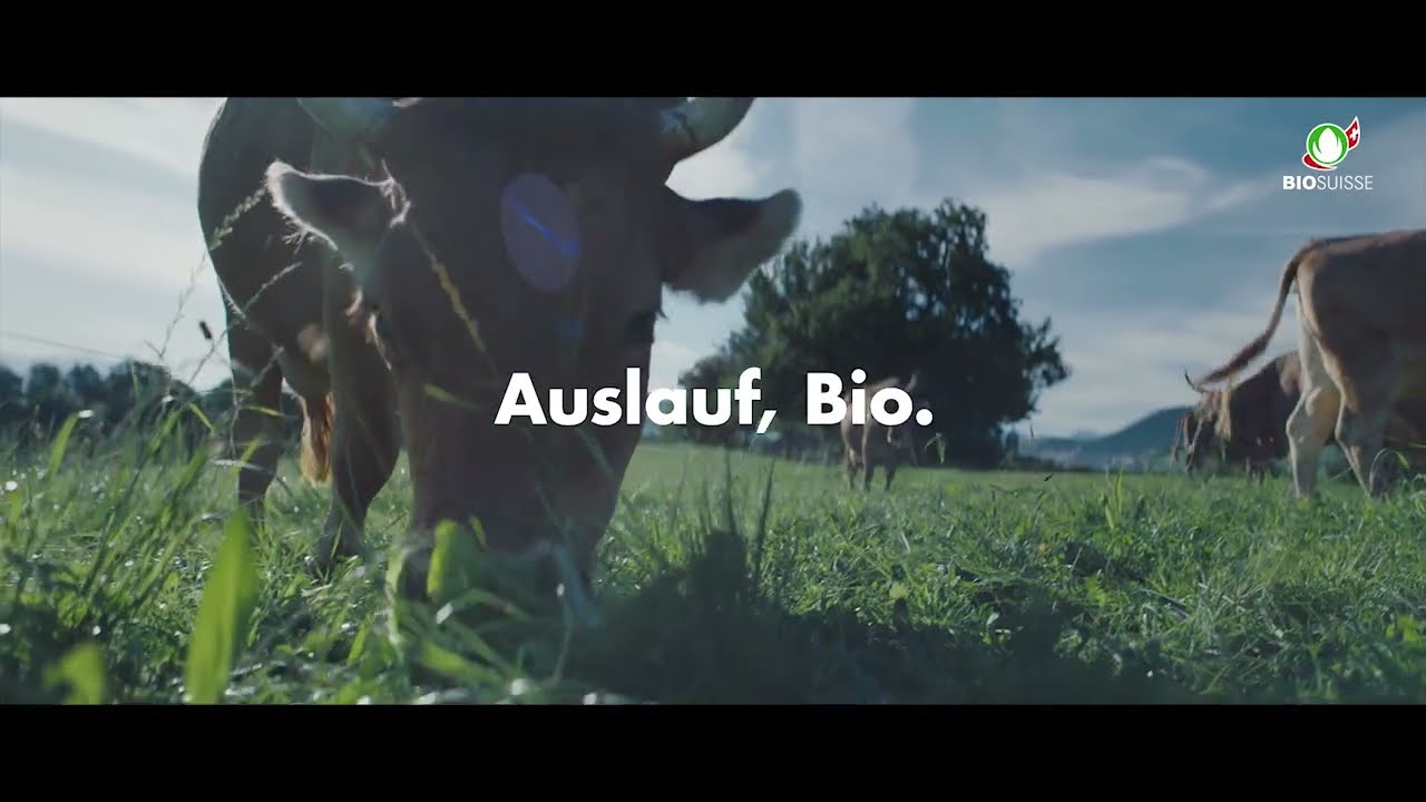 Die Bio-Knospe steht für Tierwohl.