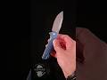 НОВЫЙ! Kershaw Lucid #ножиков #knife #обзор #blade #нож #kershaw