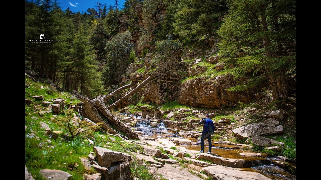 رحلة الى هيمعقال جبل شليا يابوس خنشلة