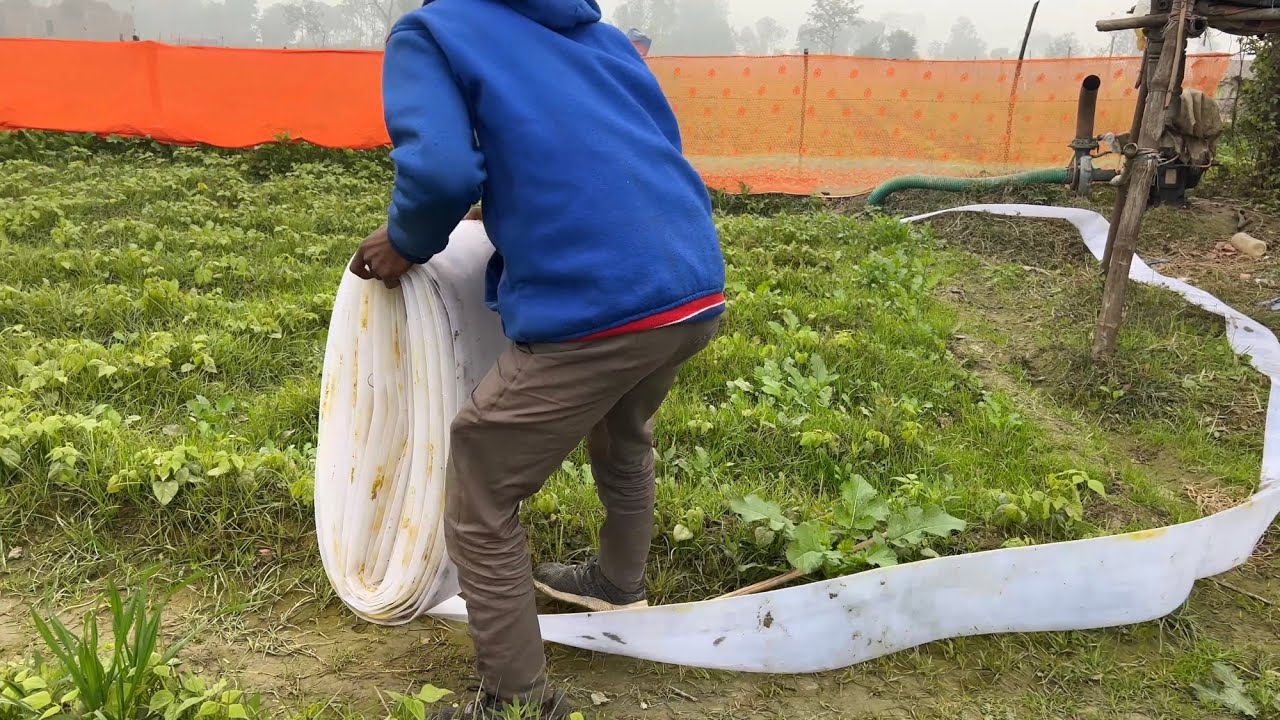 1 सिलेंडर डीजल इंजन वॉटर पंप 8hp l 5 इंच प्लास्टिक लपेटा पाइप द्वारा खेत में सिंचाई करने का प्रोसेस