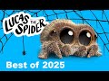 Best Lucas The Spider Videos Of 2025 