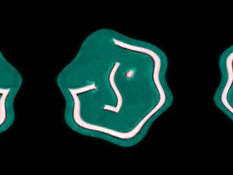 LG Logo 1995 In TBWVE571's Old G-Major 132 (WARNING: LOUD!!!)
