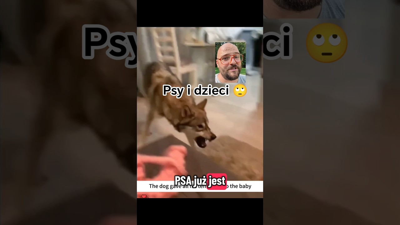 Analiza viralowych filmików z dziećmi i psami. 