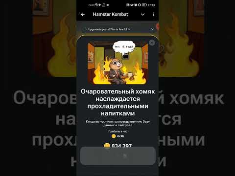 Hamster Kombat (Хомяк)