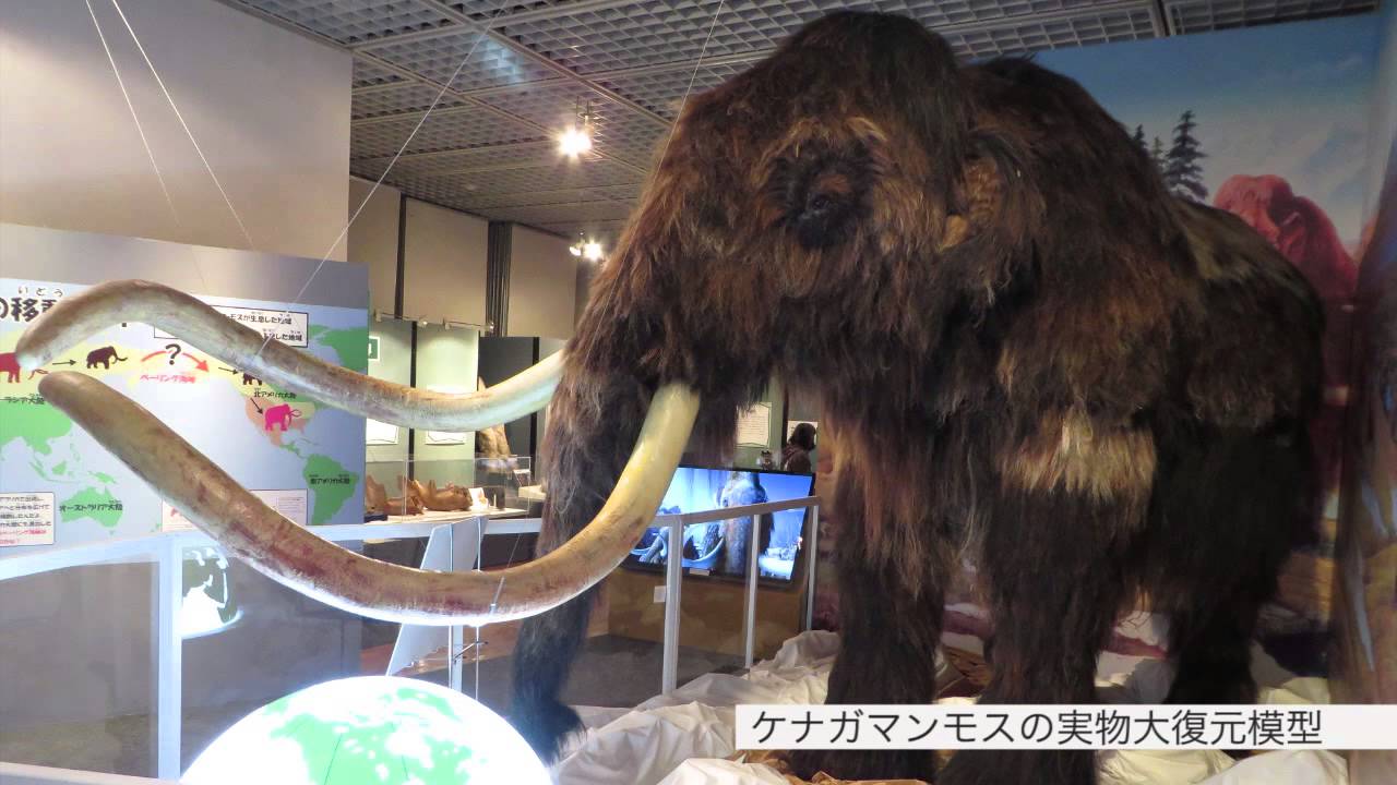 マンモスが渡った橋 氷河期の動物大移動 ミュージアムパーク 茨城県