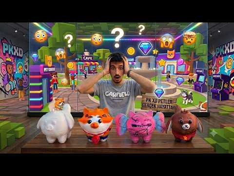 PK XD gerçek hayatta özel petler PAMPS a ne oldu????😲 #pkxd