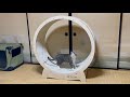 猫にキャットホイールをプレゼントしたらこうなりました 🤭