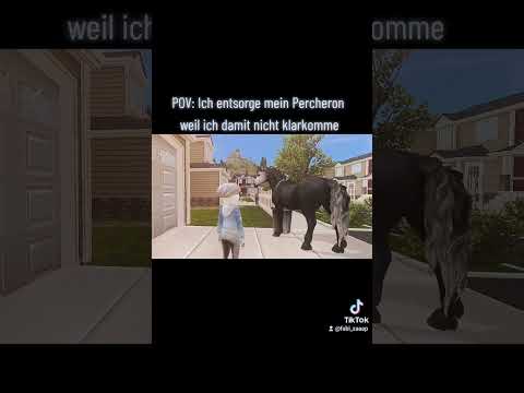 Video: Woher kommen Percheron-Pferde?