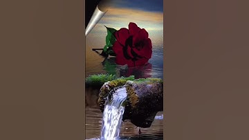 @#ماتيسر من سورة الحجرات