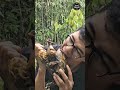 #shorts #viralfood #viral #yt #food #cooking