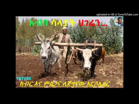 ትዝታ ሙዚቃ አብባ ሳላያት አገሬን