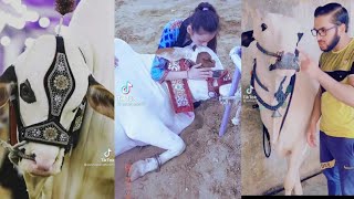 ⁣Tik Tok Videos Of Cow Mandi Karachi | Tik Tok Eid Ul Adha Special