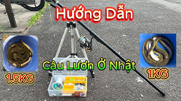 024 | Hướng Dẫn Cách Câu Lươn Ở Nhật - Câu Lươn Ở Nhật Bản / Xuân Cảnh TV / Cuộc Sống Ở Nhật