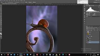 How to add macro photography backgrounds in photoshop to POP the image