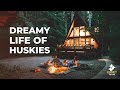 A-frame Cabin in Glacier Washington | Husky Squad