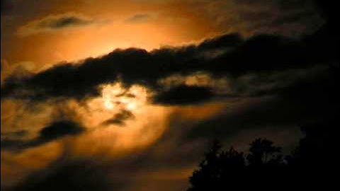 الشيخ كريم ابو طلحة سورة يوسف