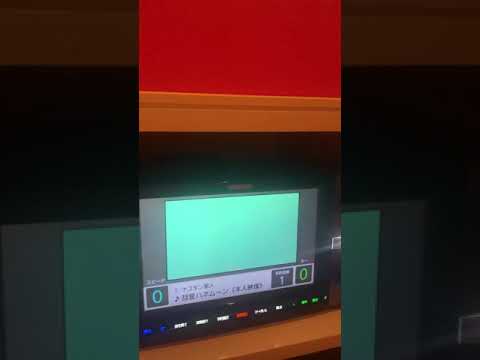 彗星ハネムーン歌ってみた