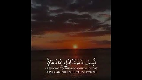 فَإِنِّي قَرِيْب #اكسبلور #قران_كريم #لايك #قرآن #راحة_نفسية #تلاوة_خاشعة #تلاوة_مؤثرة #اكسبلورررررر