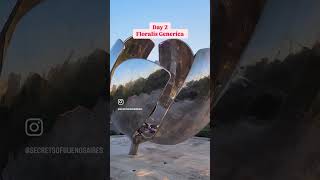 3 Days in Buenos Aires: The Perfect Itinerary 🇦🇷✨