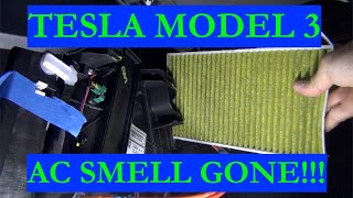 Tesla Model 3 AC Smell Gone!  How to Clean Your AC Evaporator!  (PART II 2021)