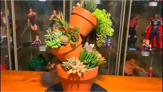 Succulent Arrangement Tupsy Turvy