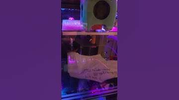 voron v0.2 serial request