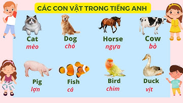 Học tiếng Anh chủ đề các con vật| Động vật trong tiếng Anh| Animals in English.