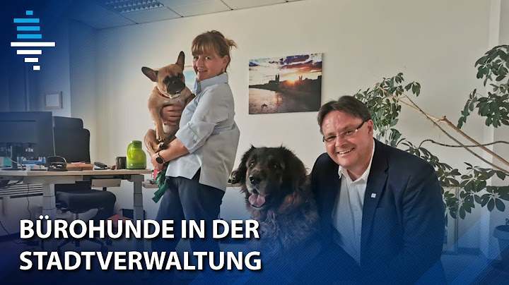 Wenn die Stimmung im Amt kippt – So beruhigen Bürohunde in Magdeburg verärgerte Bürger