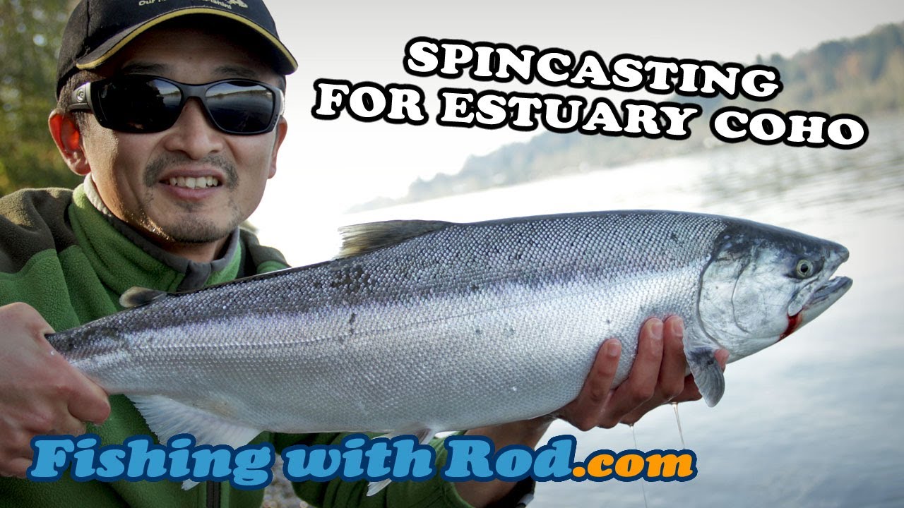 HOW TO SPINCAST FOR ESTUARY COHO SALMON Fishing with Rod YouTube
