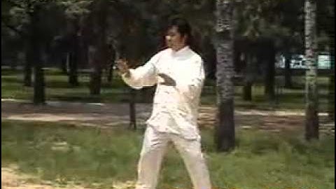 Xu Shixi Chen Style Taiji First Form, Level 6 Plucking Flowers