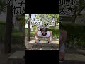 ナマズの嘘雑学集！#ちょんまげ小僧 #ナマズ #雑学 #嘘 #ネタ