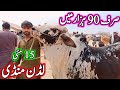 Luddan cow mandi today latest update 15052024  cow mandi 2023  cholistani bachre in ludan mandi