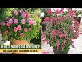 49 best shrubs for containers   best container gardening plants