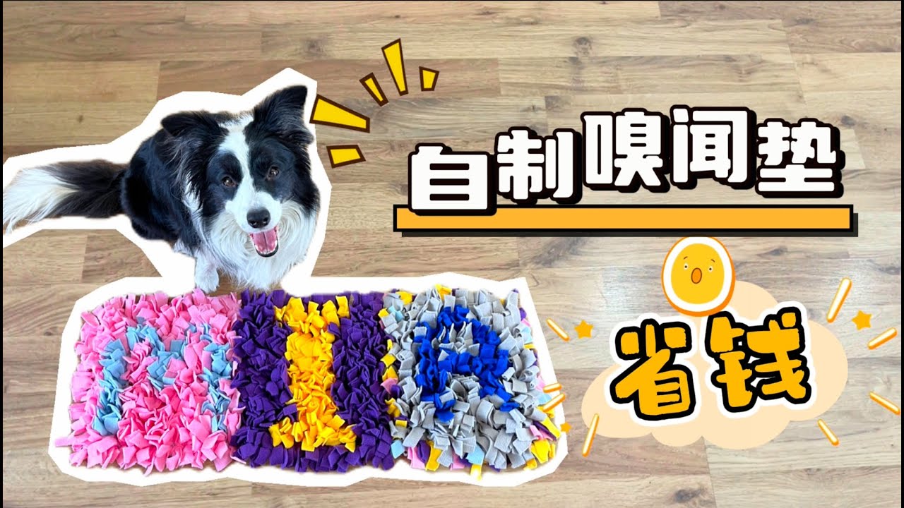 狗狗丰容好物-自制嗅闻垫|DIY成本不到15块