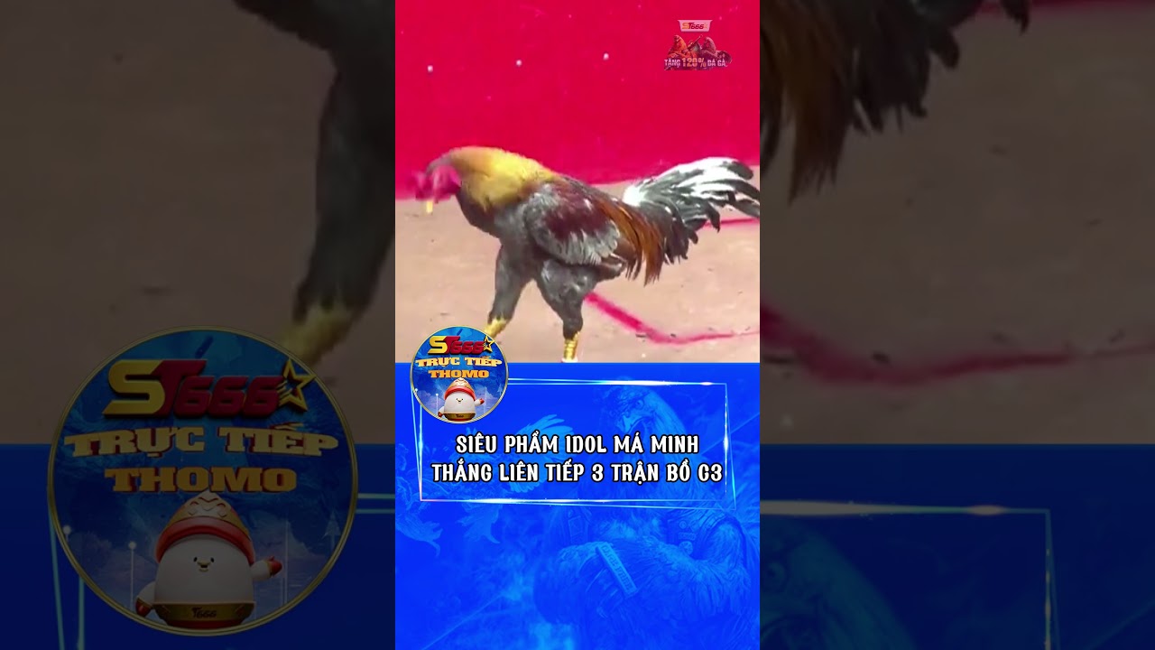 YouTube player