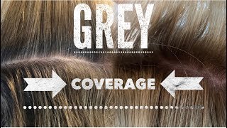 BACK TO BASICS: BLONDE GREY COVERAGE | BEAUTY SCHOOL SERIES