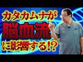 高次元エネルギーを取り込む ミスマルノタマ