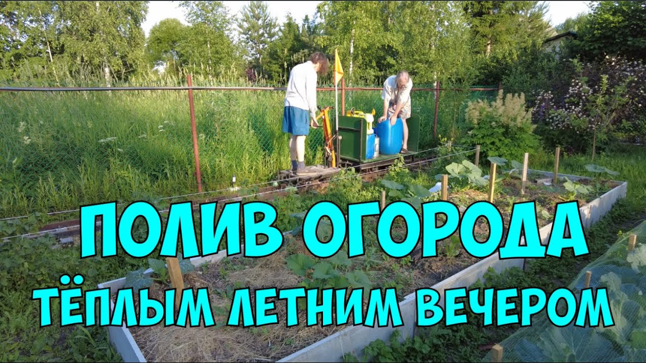 Полив огорода тёплым летним вечером - YouTube