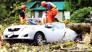 Brutal summer storm leaves thousands in the dark in B.C.