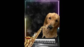 Doggophone