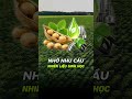 Báo cáo WASDE tháng này cần chú ý điều gì ? #usda #cbot #hanghoaphaisinh #haramitrade